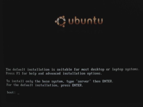 Ubuntu Install/Setup startup screen
